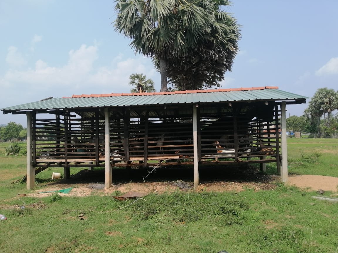 மக்கள் குடியிருப்பு பகுதியில் ஆட்டுப் பண்ணையால் பாரிய துர்நாற்றம்