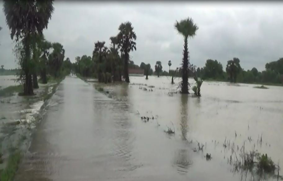 சீரற்ற வானிலை - 206 வீதிகள் பாதிப்பு