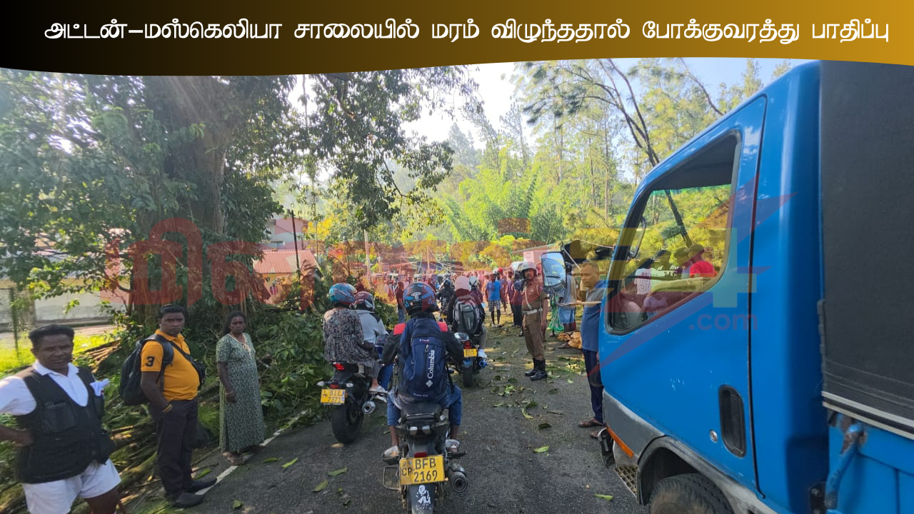 அட்டன்-மஸ்கெலியா சாலையில் மரம் விழுந்ததால் போக்குவரத்து பாதிப்பு