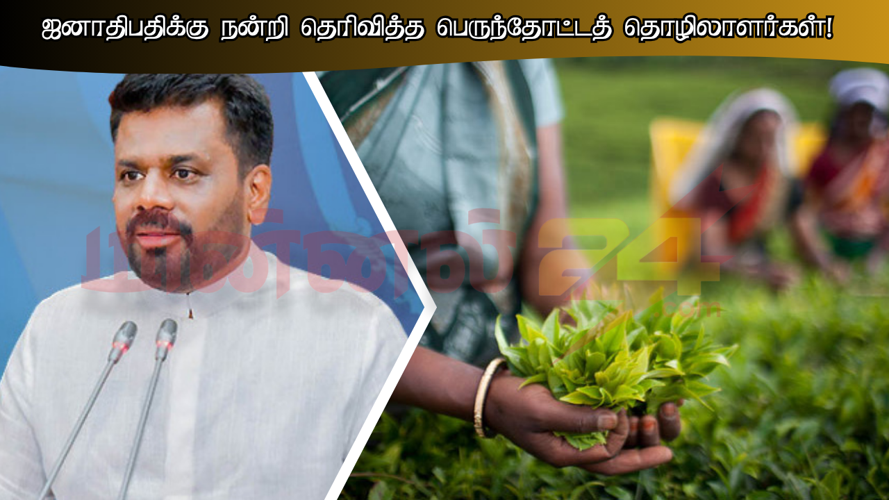 ஜனாதிபதிக்கு நன்றி தெரிவித்த பெருந்தோட்டத் தொழிலாளர்கள்