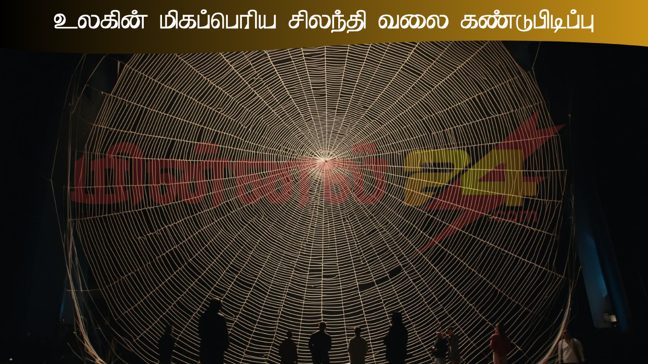 உலகின் மிகப்பெரிய சிலந்தி வலை கண்டுபிடிப்பு