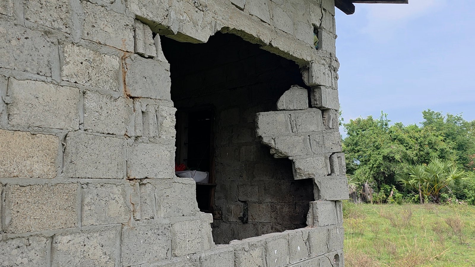 வெருகல் பிரதேசத்தில் காட்டு யானையின் அட்டகாசம்