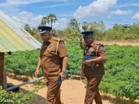 மட்டக்களப்பு-களுவாஞ்சிகுடியில் ஒருவர் கொலை!