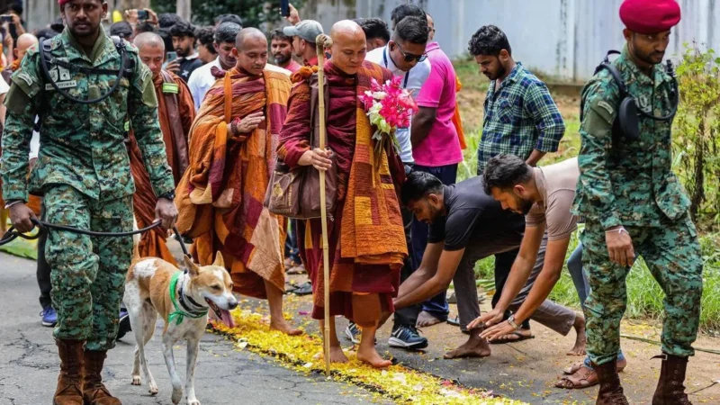 கொழும்பில் நாளை விசேட போக்குவரத்து திட்டம்!