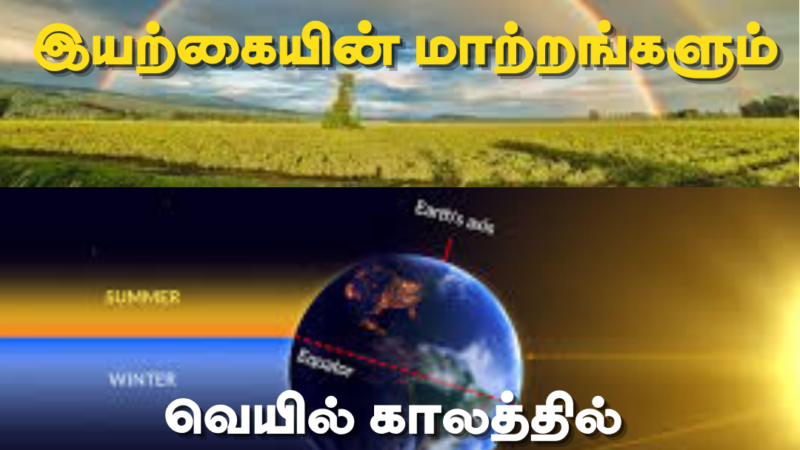 பருவகாலமும் (Seasons) – இயற்கையின் மாற்றங்களும்