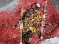 சுவிட்சர்லாந்தில் புதரில் நகைகள் மீட்பு உரிமையாளரை தேடும் பொலிசார்