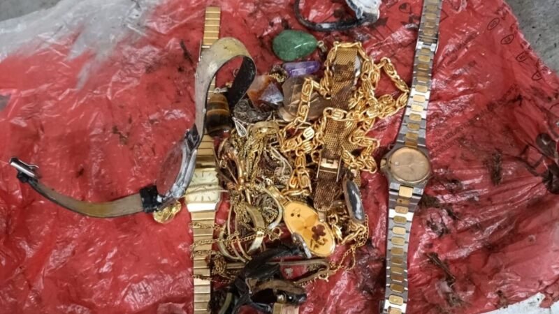 சுவிட்சர்லாந்தில் புதரில் நகைகள் மீட்பு உரிமையாளரை தேடும் பொலிசார்