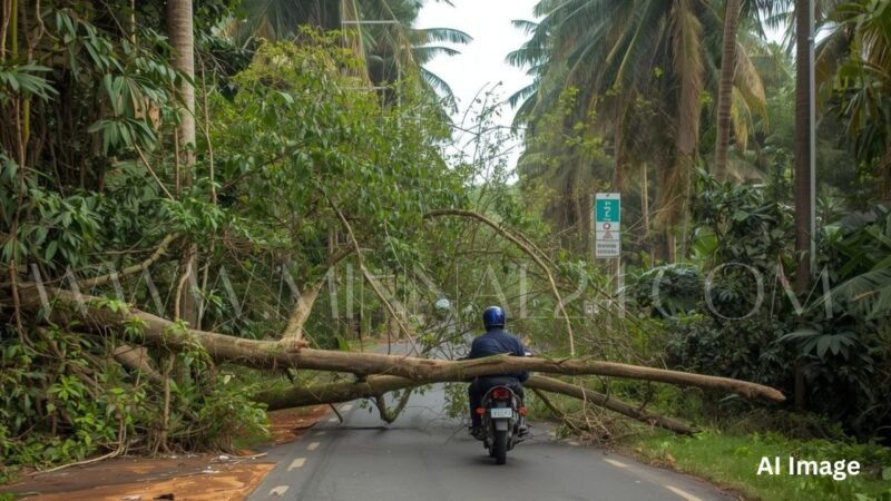 பயணித்துக்கொண்டிருந்த மோட்டார் சைக்கிள் மீது மரம் முறிந்து விழுந்ததில் ஒருவர் உயிரிழப்பு!