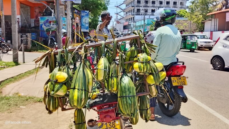 அம்பாறையில் வெள்ளரிப்பழ விற்பனை அமோகம்!