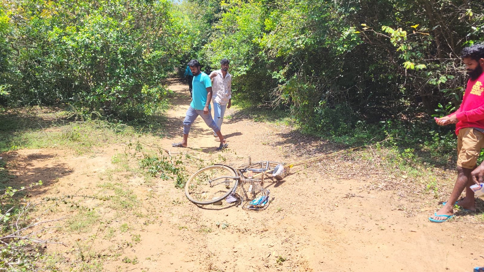 கிளிநொச்சி : யானை தாக்குதலில் மீனவர் படுகாயம்