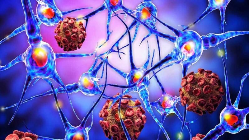 தெனியாயவில் பரவிய வைரஸ் குறித்து அச்சம் கொள்ள தேவையில்லை – விசேட வைத்திய நிபுணர் பாலித கருணாபேம