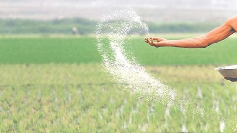 இம்முறை சிறுபோகத்தில் உரத் தட்டுப்பாடு ஏற்படாது – அமைச்சர் கே.டி.லால் காந்த