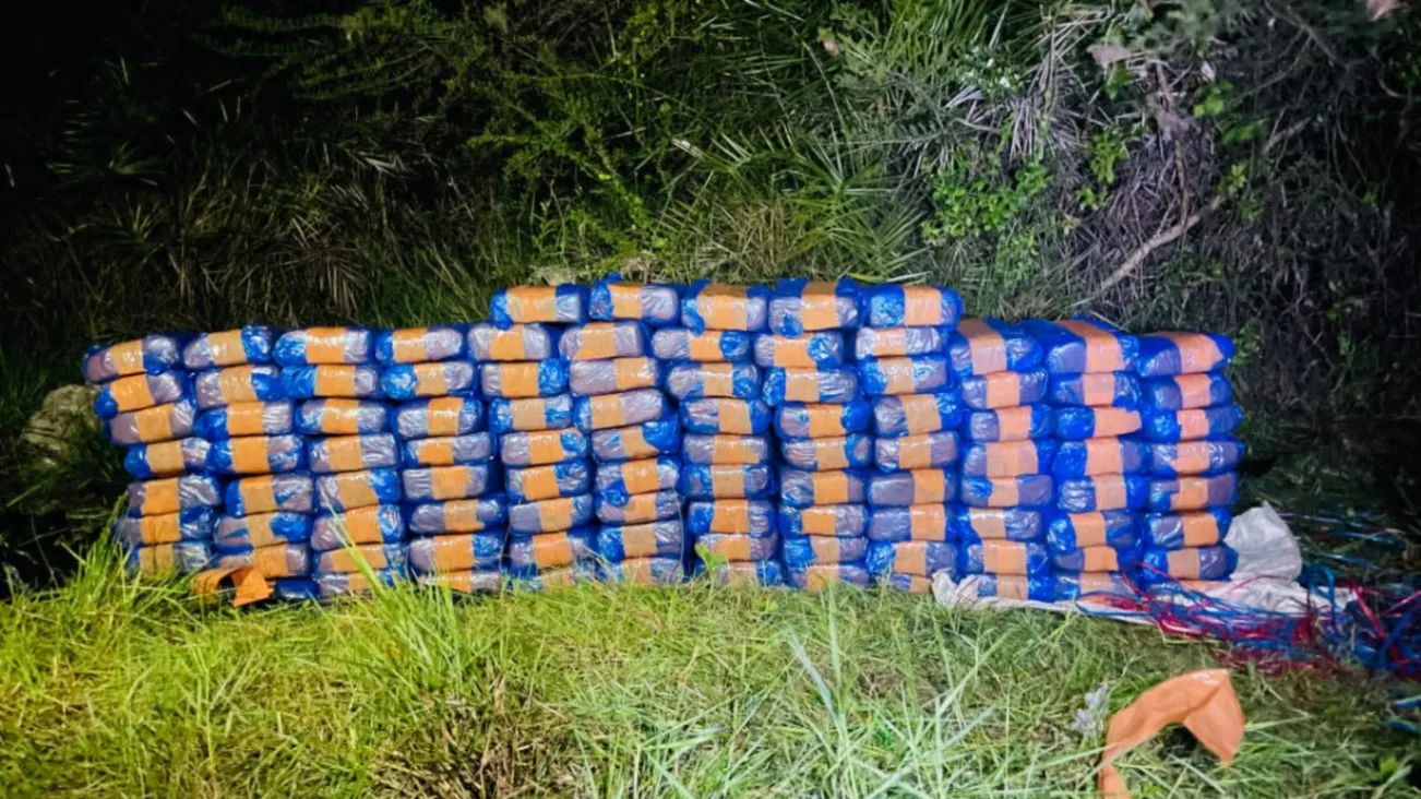 யாழில் பெருந்தொகையான கேரள கஞ்சா மீட்பு