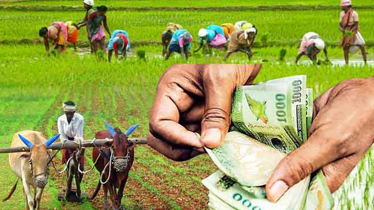 விவசாயிகளுக்காக விரைவில் புதிய வங்கி!