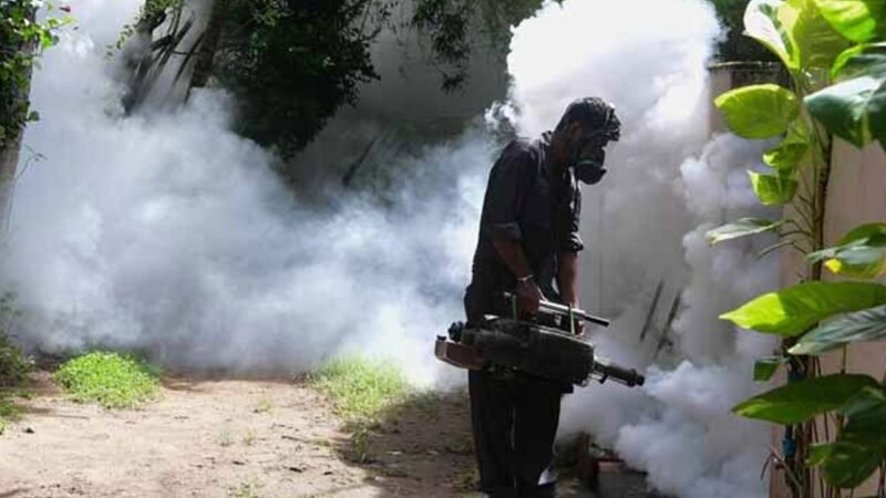 மேல் மாகாணத்தில் விசேட டெங்கு ஒழிப்பு இன்று முதல்