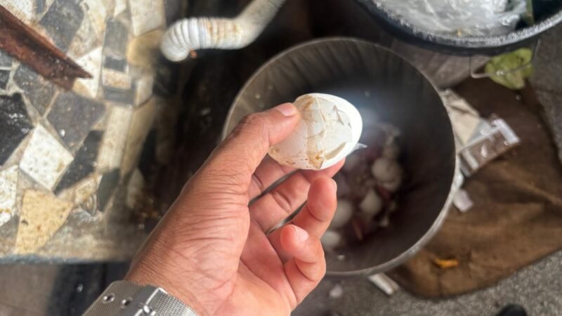 மன்னார் பிரபல உணவகத்தில் பாரிய சுகாதார மீறல்கள்; சட்ட நடவடிக்கை