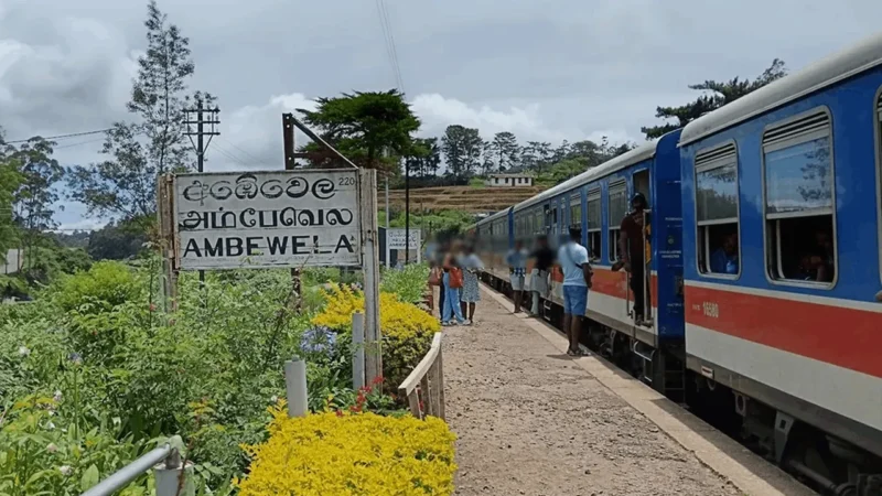 ரயிலில் செல்ஃபி எடுக்க முயன்ற வெளிநாட்டுப் பெண் தவறி விழுந்து படுகாயம்