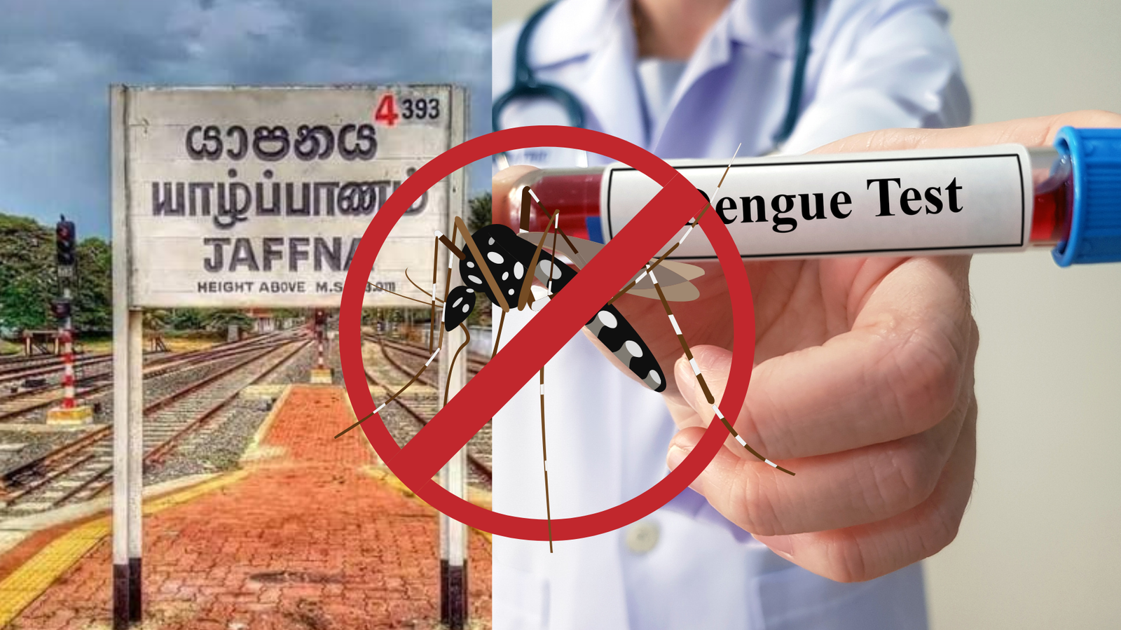 யாழ்.மாவட்டத்தில் இதுவரையில் 694 டெங்கு நோயாளர்கள் அடையாளம்