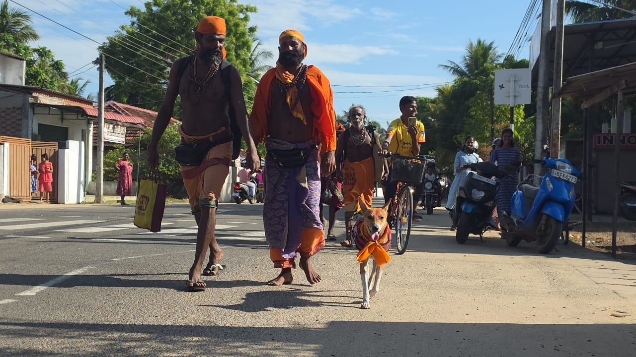 கதிர்காமம் நோக்கி பாதயாத்திரை : பக்தர்களுடன் தம்பிலுவில் வருகை தந்த “சுப்பிரமணியம்” நாய்