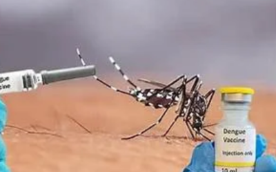 இந்தியாவின் முதல் டெங்கு தடுப்பூசிக்கு ஒப்புதல்!