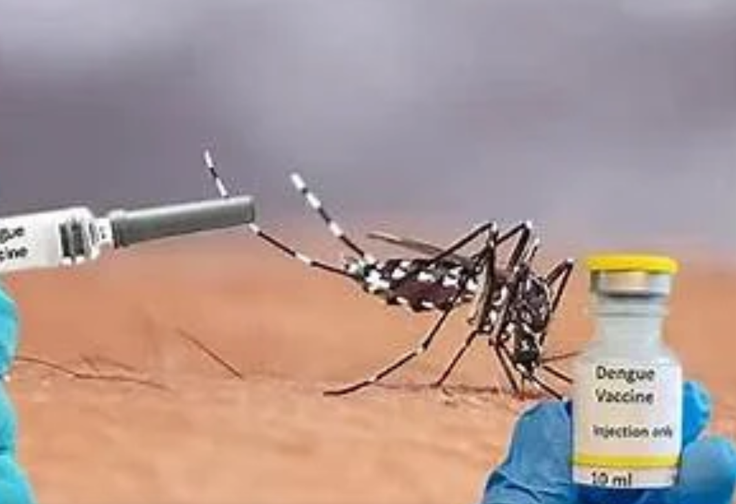 இந்தியாவின் முதல் டெங்கு தடுப்பூசிக்கு ஒப்புதல்!