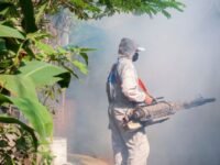 நாட்டில் டெங்கு மரணங்களின் எண்ணிக்கை 78 ஆக அதிகரிப்பு