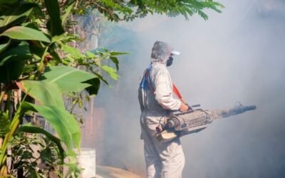 நாட்டில் டெங்கு மரணங்களின் எண்ணிக்கை 78 ஆக அதிகரிப்பு