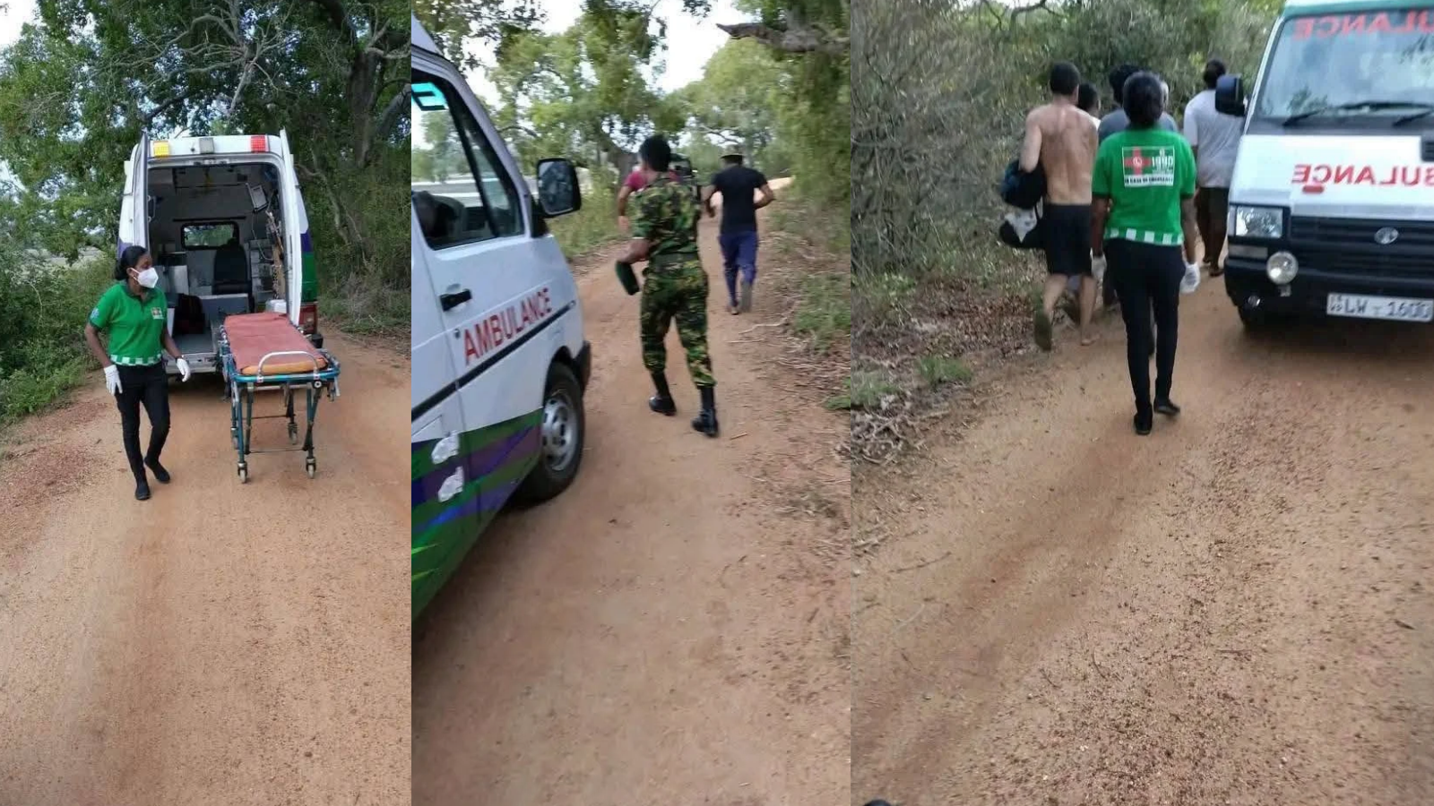 அறுகம்பையில் காட்டு யானை தாக்கி வெளிநாட்டு சுற்றுலாப் பயணி படுகாயம்