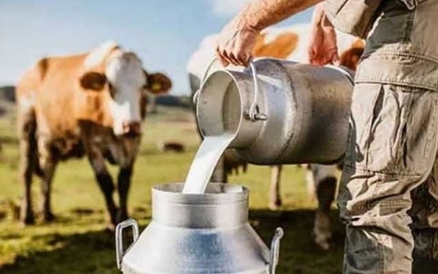பால் உற்பத்தியை நவீனமயமாக்க பிரேசிலுடன் இலங்கை ஒப்பந்தம்