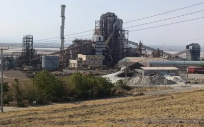 மகாடியில் Tata Chemicals (டாடா ரசாயனங்கள்) நிறுவனத்துக்கு எதிராக கென்யா திரும்பியதன் பின்னணி என்ன?