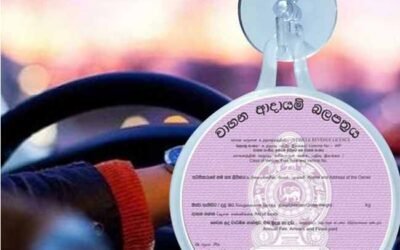 8 மாகாணங்களில் மின்னணு வருமான அனுமதிப் பத்திர சேவை தற்காலிகமாக இடைநிறுத்தம்