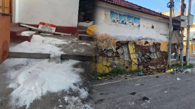 கல்முனையில் அதிகாலையில் இரண்டு காட்டு யானைகள் அட்டகாசம்