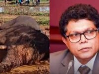 காவன்திஸ்ஸ யானையின் மரணம் தொடர்பில் சுயாதீன விசாரணை நடத்தப்படும் – அமைச்சர் உறுதி