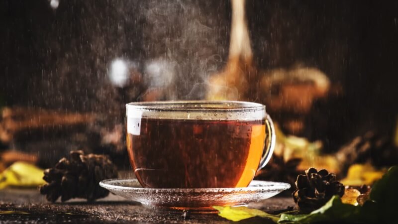 நீங்கள் தேநீர் பிரியரா? : நீங்கள் தெரிந்து கொள்ள வேண்டிய தகவல்!
