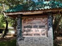 பொலன்னறுவையில் யானைக் குட்டிகளுக்கான புதிய பராமரிப்பு நிலையம்
