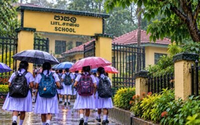 பாடசாலைகளை நடத்துவது தொடர்பில் தீர்மானிக்க மாகாண கல்வி அதிகாரிகளுக்கு அதிகாரம்